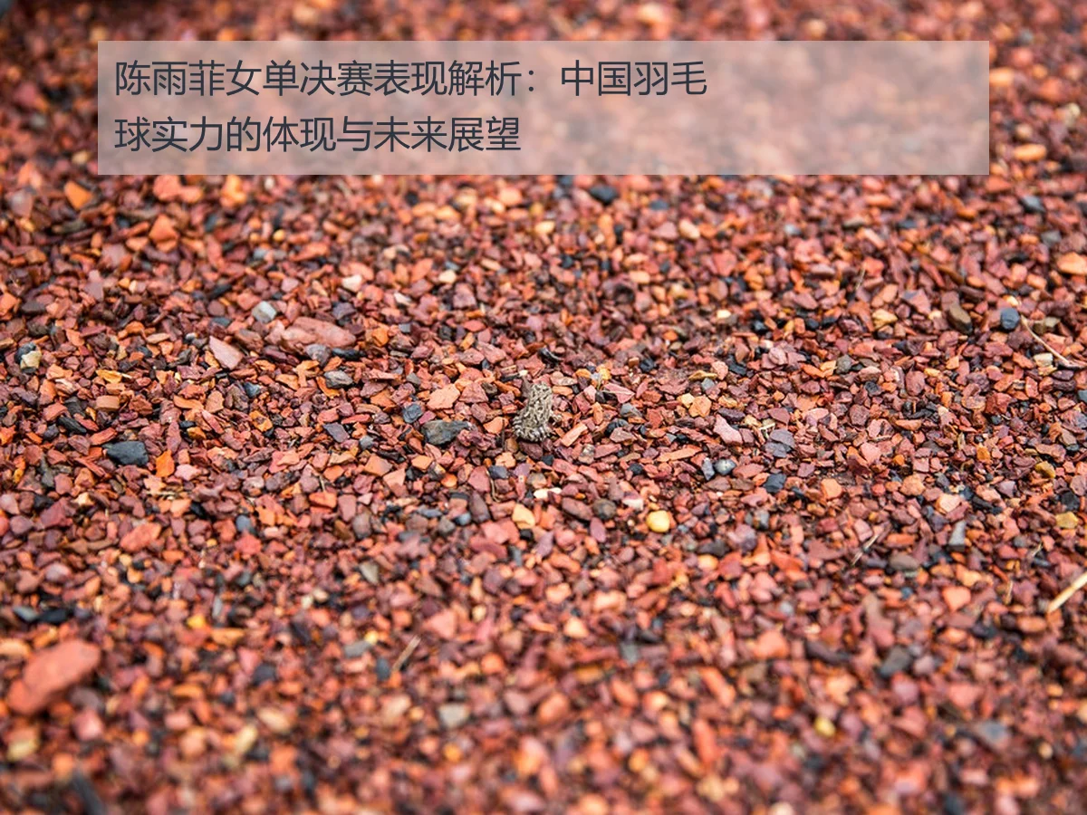 陈雨菲女单决赛表现解析：中国羽毛球实力的体现与未来展望